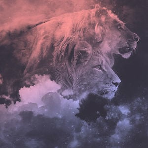 Profile picture for Drew Turner