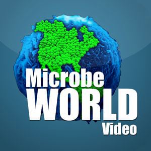 Profile picture for microbeworld