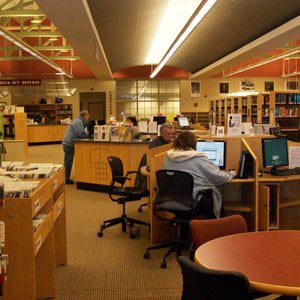 Profile picture for protectnylibraries