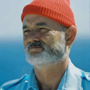 Profile picture for Steve Zissou