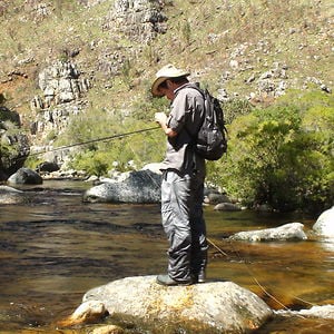 Profile picture for Mathew Bok
