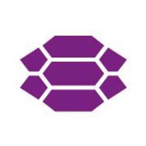 Profile picture for The Purple Turtle