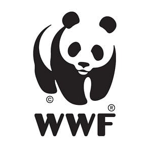 Profile picture for WWF-UK