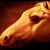 FIREHORSE FILMS