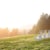 Blackberry Farm