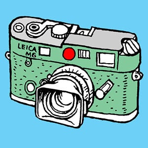Profile picture for Barry Phipps