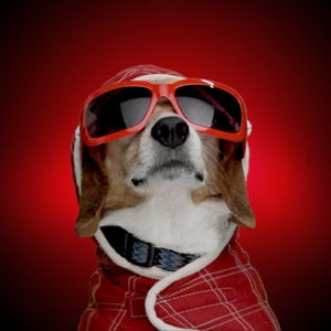 Profile picture for Scott Bryant