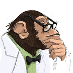 Profile picture for Sebastian Russ