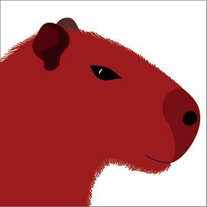 Profile picture for Chigüiro Estudio