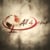 All 4 Jesus Foundation