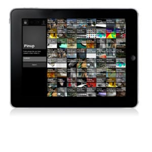 Profile picture for The Morpholio Project