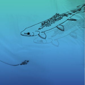Profile picture for Currents