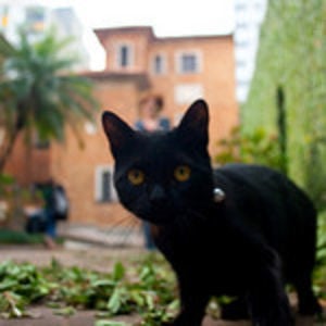 Profile picture for Casa da Cultura Digital