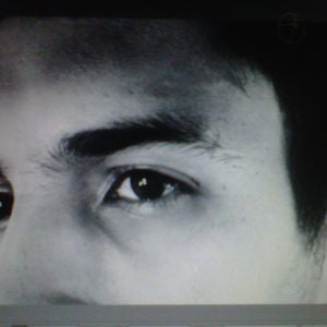 Profile picture for sponda
