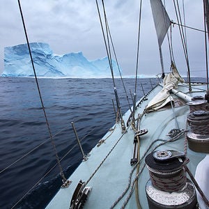 Profile picture for Wild Expeditions