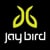 Jaybird