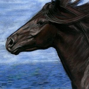 Profile picture for Sheri Gordon