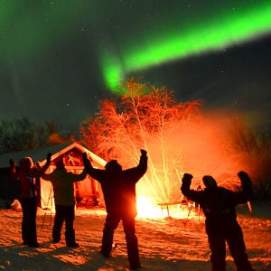 Profile picture for Lights Over Lapland
