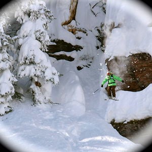 Profile picture for Rebecca selig