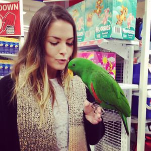 Profile picture for Chantelle Knapman
