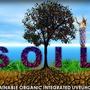 Profile picture for SOIL Haiti