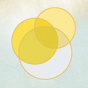 Profile picture for Sunlight Foundation