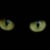 i-icat