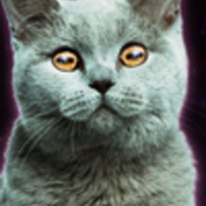 Profile picture for Cody DeMatteis