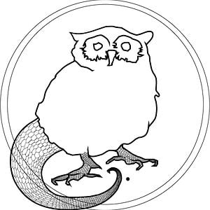 Profile picture for Haruka Kawasumi