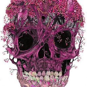 Profile picture for Manuel Castro