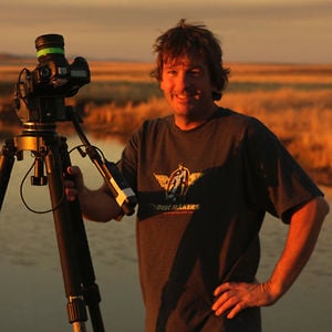 Profile picture for Joe Taylor