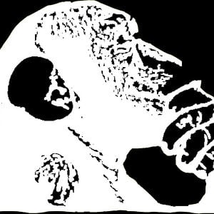 Profile picture for Serious Climbing Ape Productions