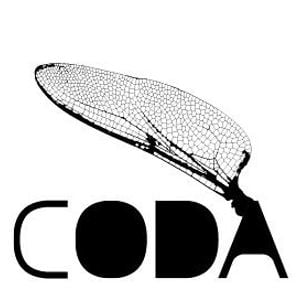 Profile picture for CODA Barcelonatech