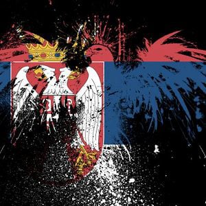 Profile picture for Nikola Lackovic