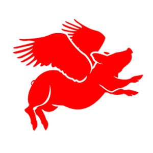 Profile picture for Susan Robinson
