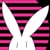 White Rabbit Animation