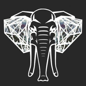 Profile picture for Elefante Diamante