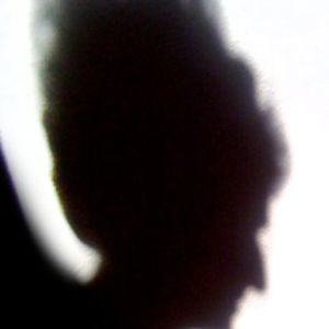 Profile picture for michael douglas hawk