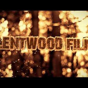 Profile picture for Silentwood Films