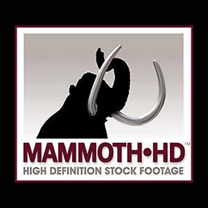 Profile picture for MammothHD