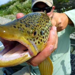 Profile picture for Hopper-Stone Outfitters