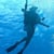 Underwater Paparazzi