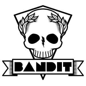 Profile picture for THIS IS BANDIT