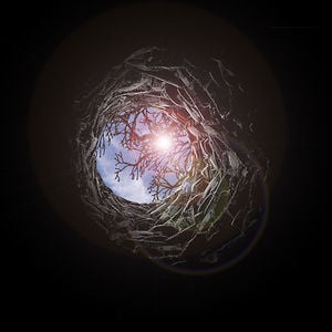 Profile picture for bottomless well films