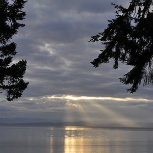 Profile picture for Comox Valley Voice