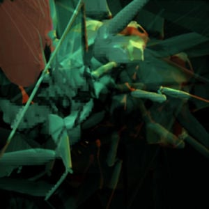 Profile picture for Daniel Andersch