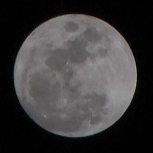 Profile picture for Earth Initiatives