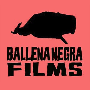 Profile picture for Ballena Negra Films