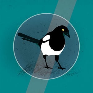 Profile picture for Anastasia Kabzon