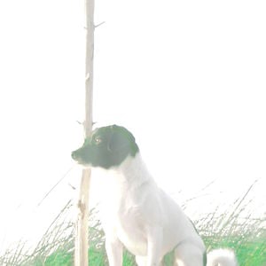 Profile picture for Ignė Narbutaitė